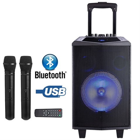Oyılıty DK-15 USB Bluetooth Şarj Kareoke Mikrofonlu Taşınabilir Ses Sistemi 150-400 Watt